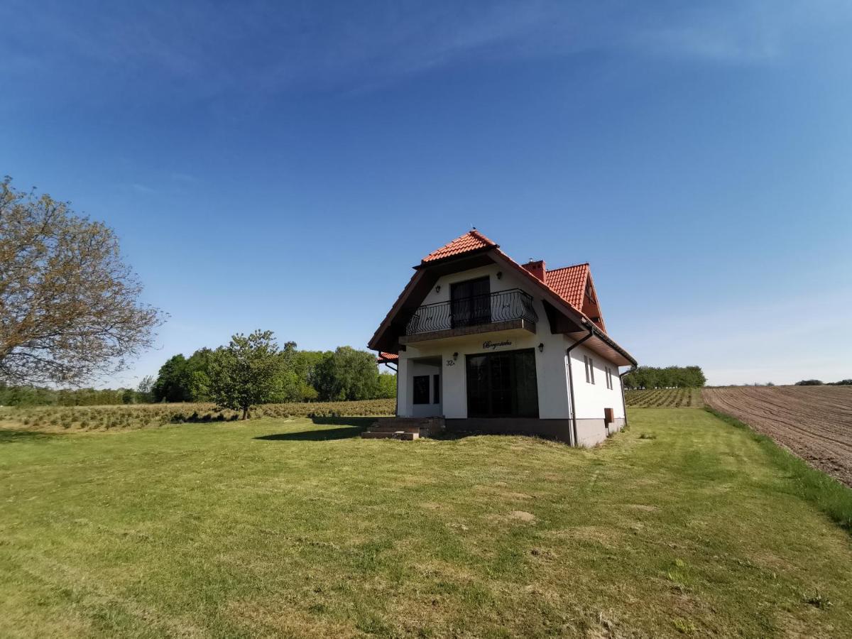 Willa Borynowka Kazimierz Dolny Luaran gambar